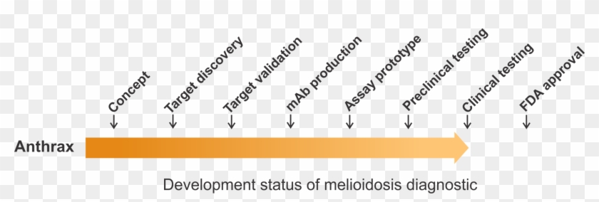 Anthrax Diagnostic Pipeline - Girls Are Best Than Boys Clipart #5277514