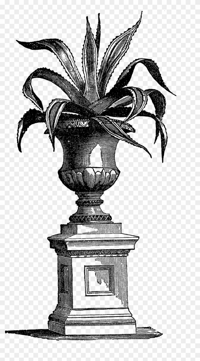 Digital Plant Image Transfer - Victorian Indoor Plant Pots Clipart