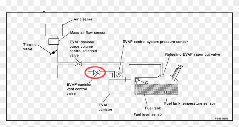 Dtc Code P0455 - P0456 2011 Nissan Sentra Clipart
