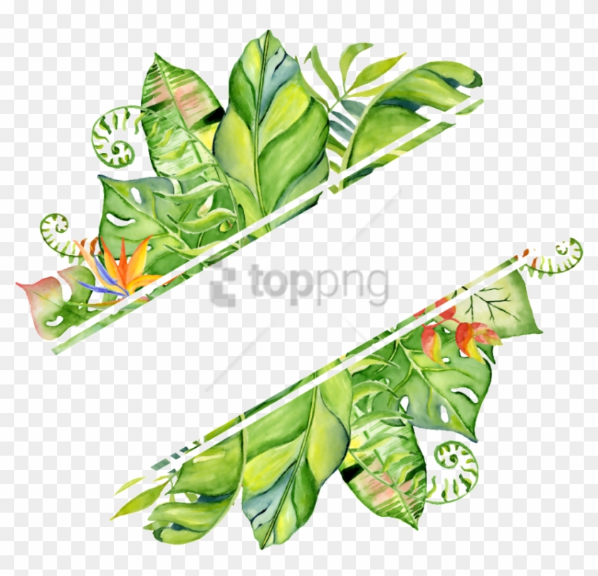 Free Png Hand Drawn Watercolor Tropical Frame Png Image - Fondos De Hojas De Plantas Clipart
