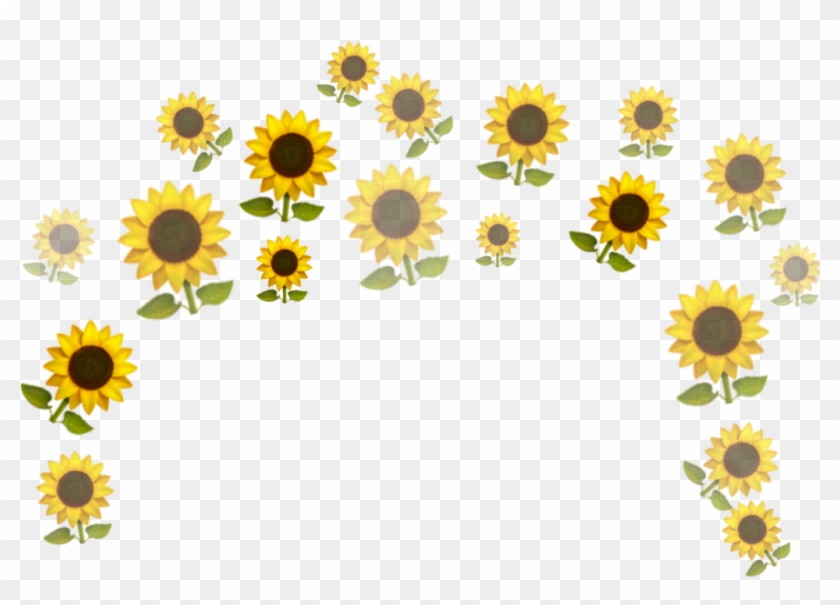 Sunflower 🌻🌻🌻 - Sunflower Clipart #5279617