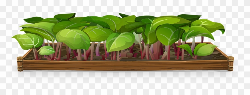 Plants Greenery Tiny Small Gardens Gardening - Plywood Clipart