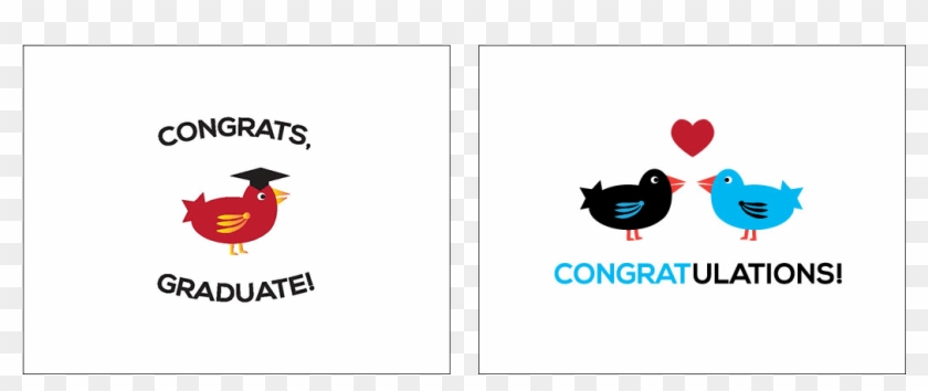 Little Birdie Congrats Cards Little Birdie Card Fronts - Cartoon Clipart #5281213