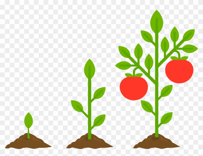 Use These To Grow A Garden To Feed Your Entire Family - Vegetable Garden Cartoon Clipart