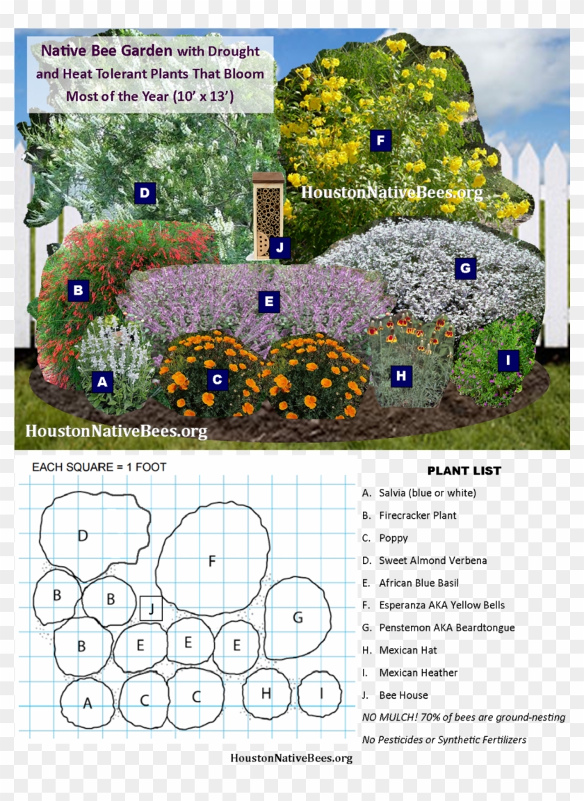 Easy Garden Design To Help Native Pollinators - Bee Garden Plants Clipart #5281586