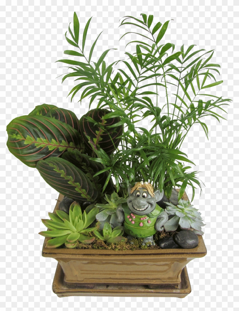 Bulda's Garden - Houseplant Clipart