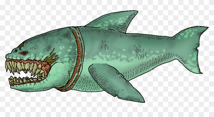 Shark Clipart