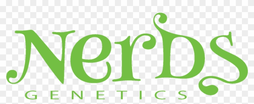 Graphic Design Clipart