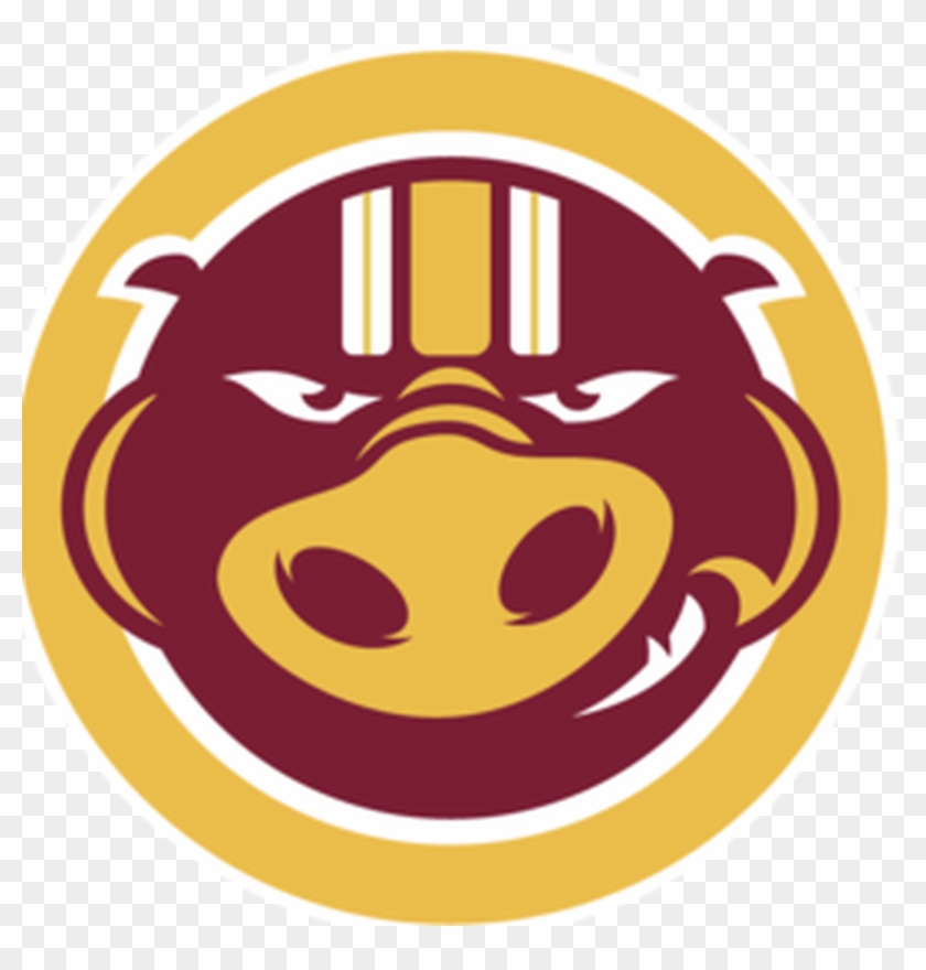 Jason Campbell Probably Out For The Season - Hogs Clipart #5283270