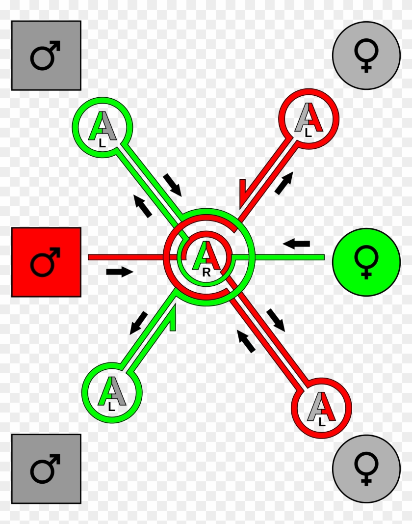 File - Contra Corners - Svg - Circle Clipart