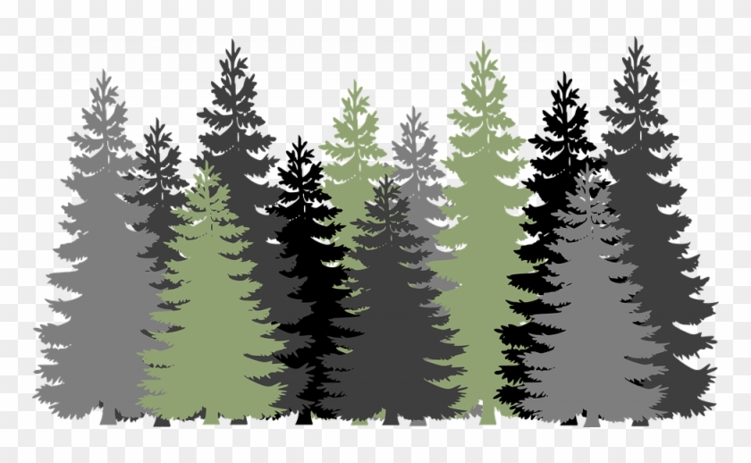 Free Trees Evergreen Vector Graphic On Pixabay - Forest Clipart Transparent Background - Png Download #5286093