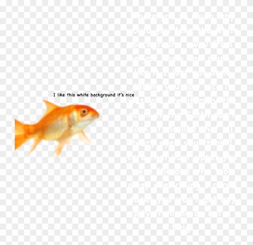 “i Am A Fish - Go Away Transparent Background Clipart #5286946