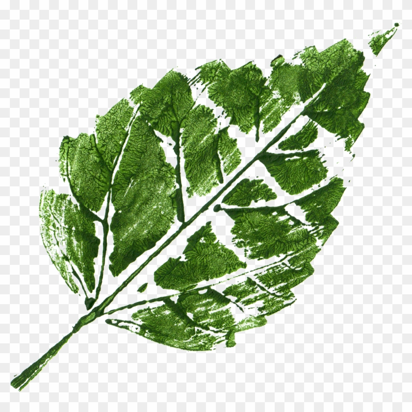 Free Download - Leaf Print Hd Images Free Download Clipart #5287993