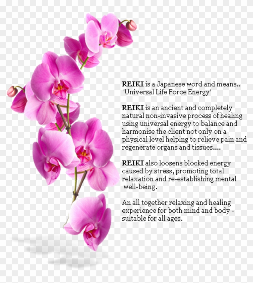Def - Orchids Mural Clipart