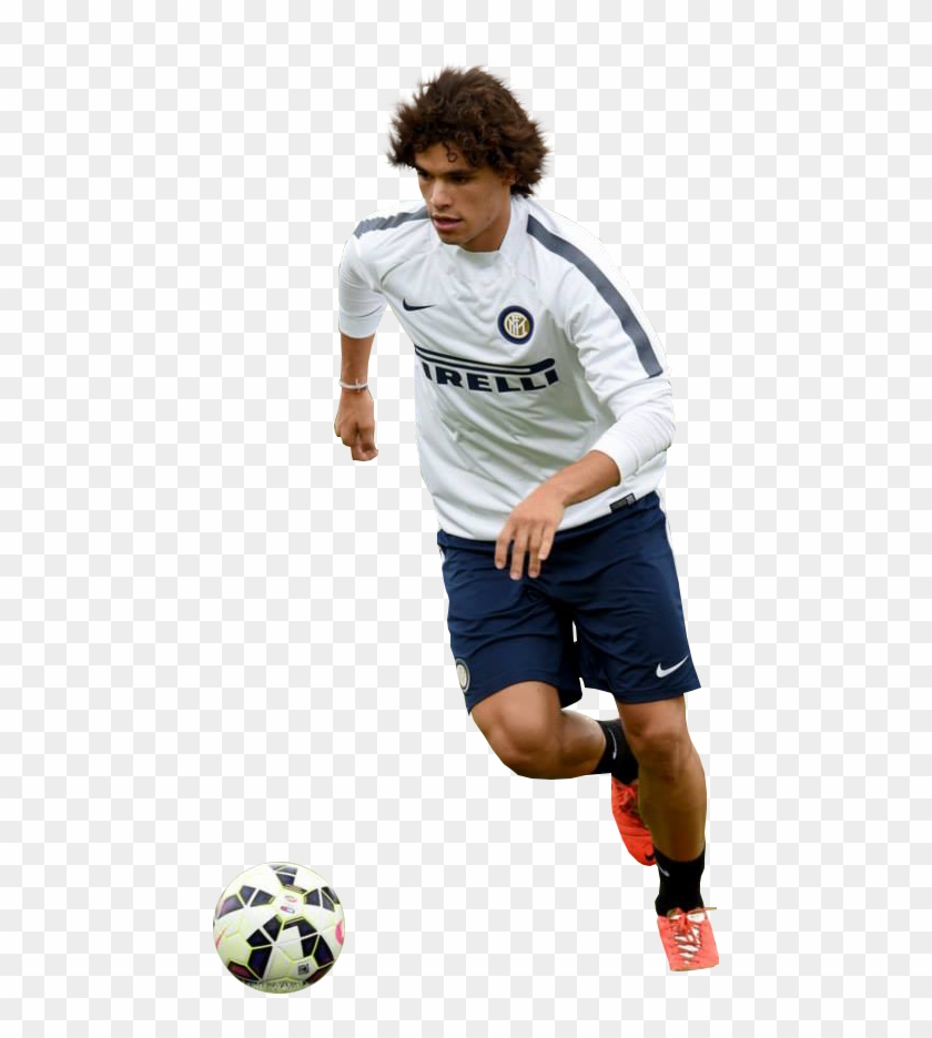 Dodo Render - Player Clipart