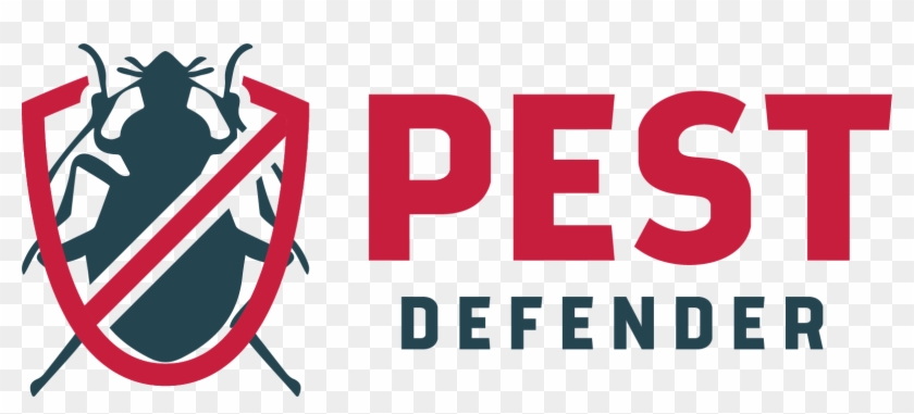 Contact Us 1 831 382 - Graphic Design Clipart