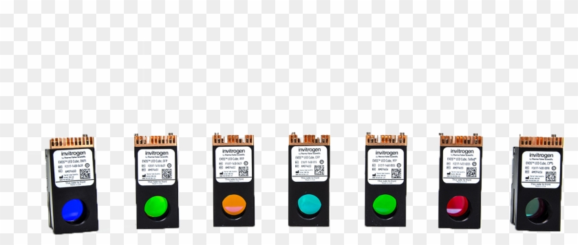 Lightcubelineup-1 - Traffic Light Clipart #5292977