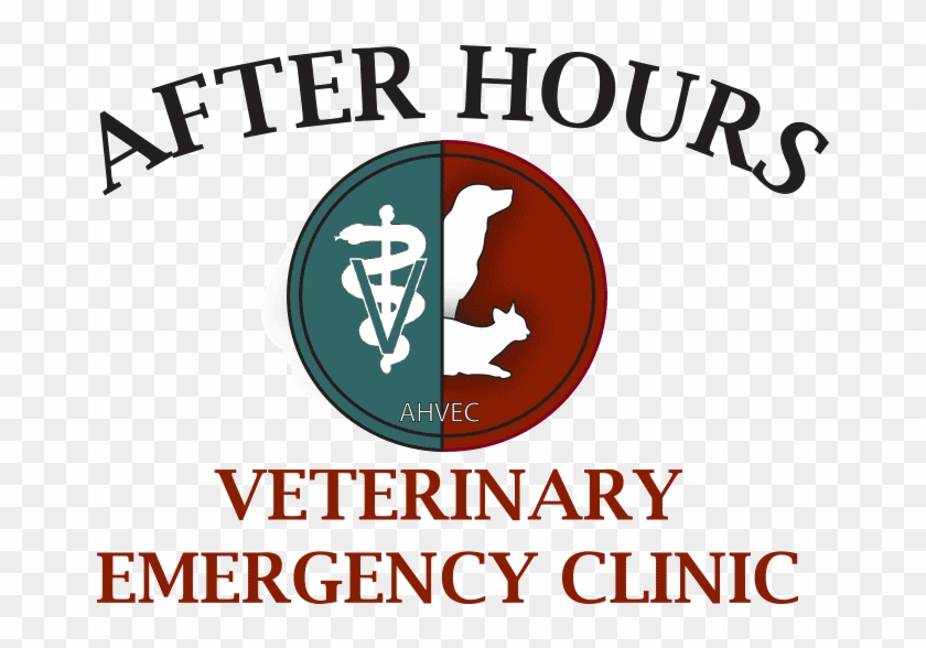 Graphic Design Clipart