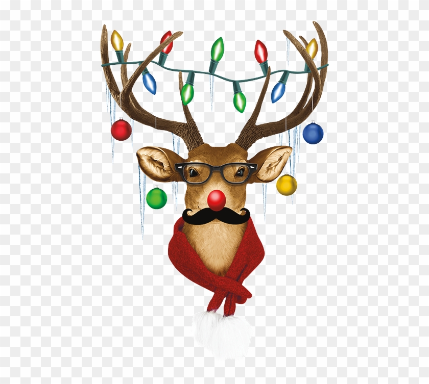 Reindeer Christmas Lights - Cartoon Clipart #5294300