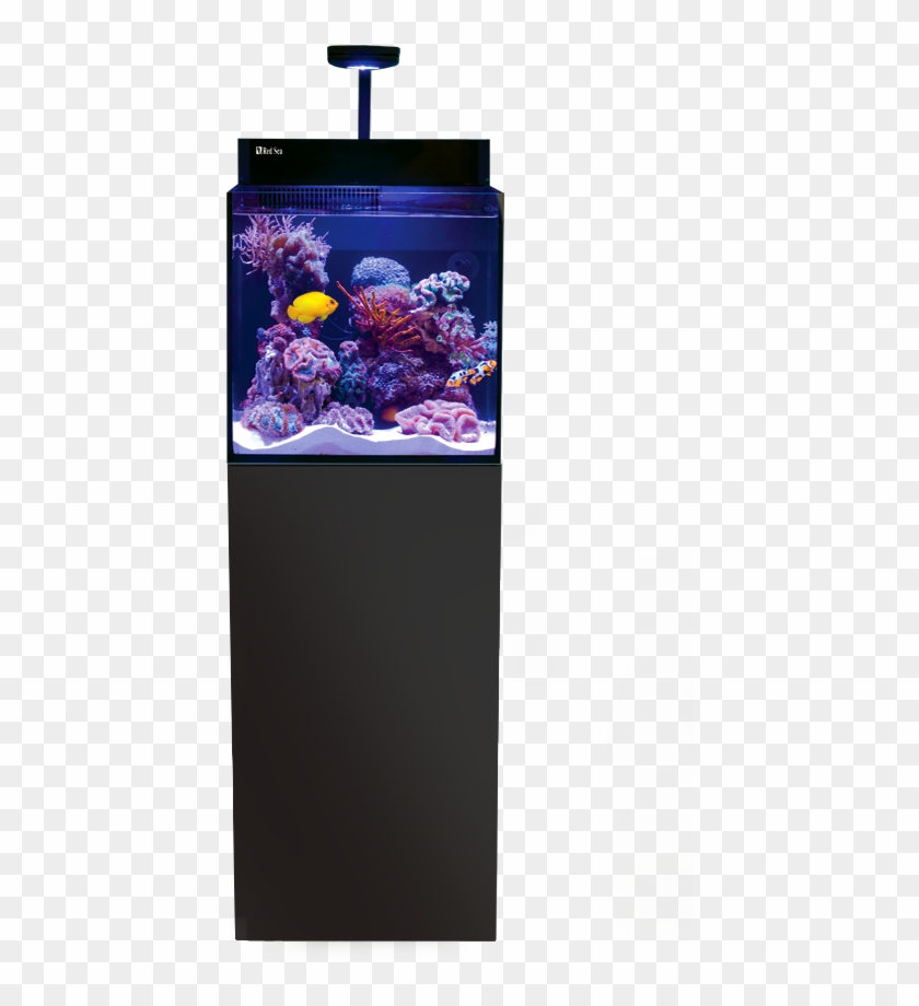 Red Sea Reefer Nano - Red Sea Max Nano Black Clipart #5295765