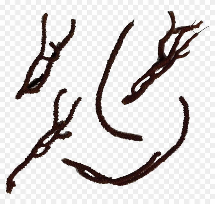 Loading Zoom - Drawing Clipart #5295934