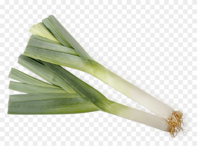 Leek Clipart