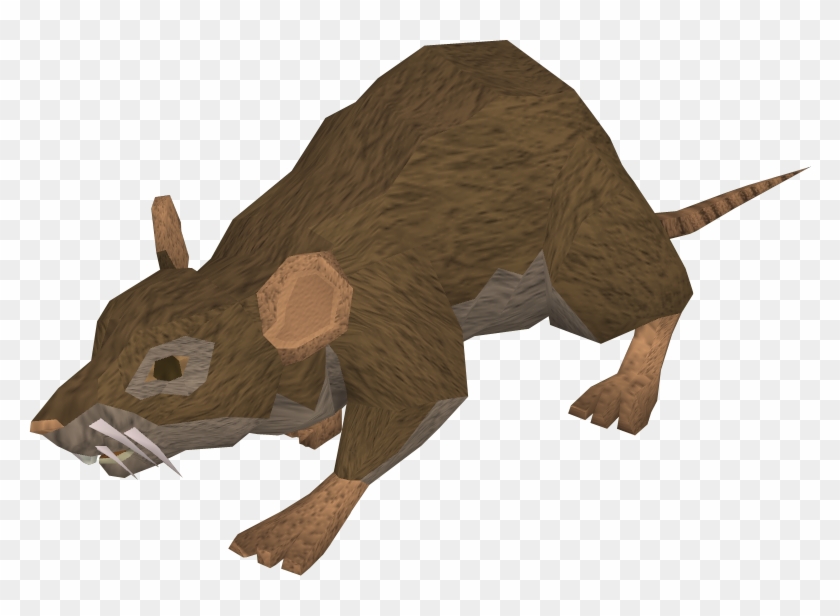 Runescape Mouse Clipart