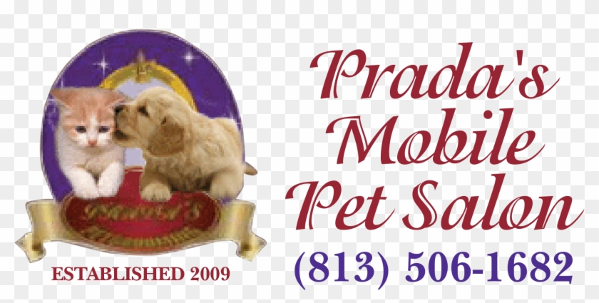 Cocker Spaniel Clipart #5297945