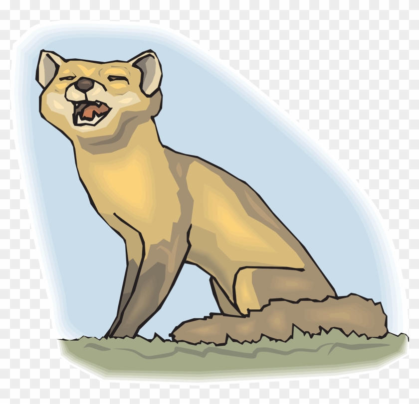 Baby Sky Grass Fox Tail Fur Png Image - Fox Howling Clipart Transparent Png #5299593