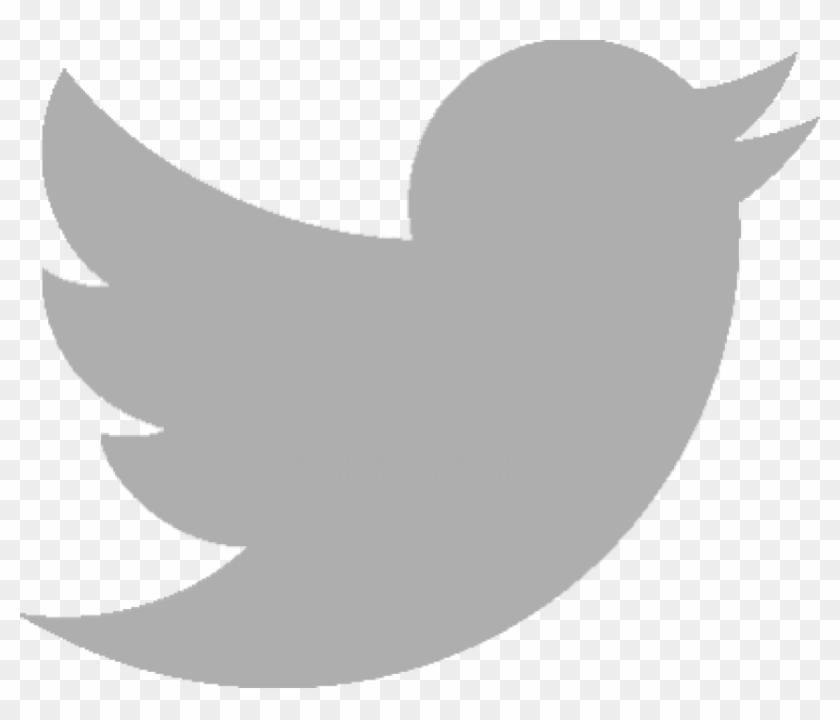 Free Png Download Twitter Logo Grau Png Images Background - Transparent Background Transparency Twitter Logo Clipart
