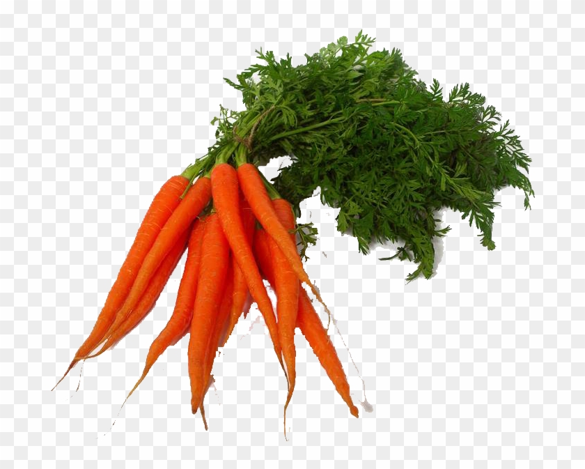 Carrot Png Clipart - Transparent Vegetable Png #530572
