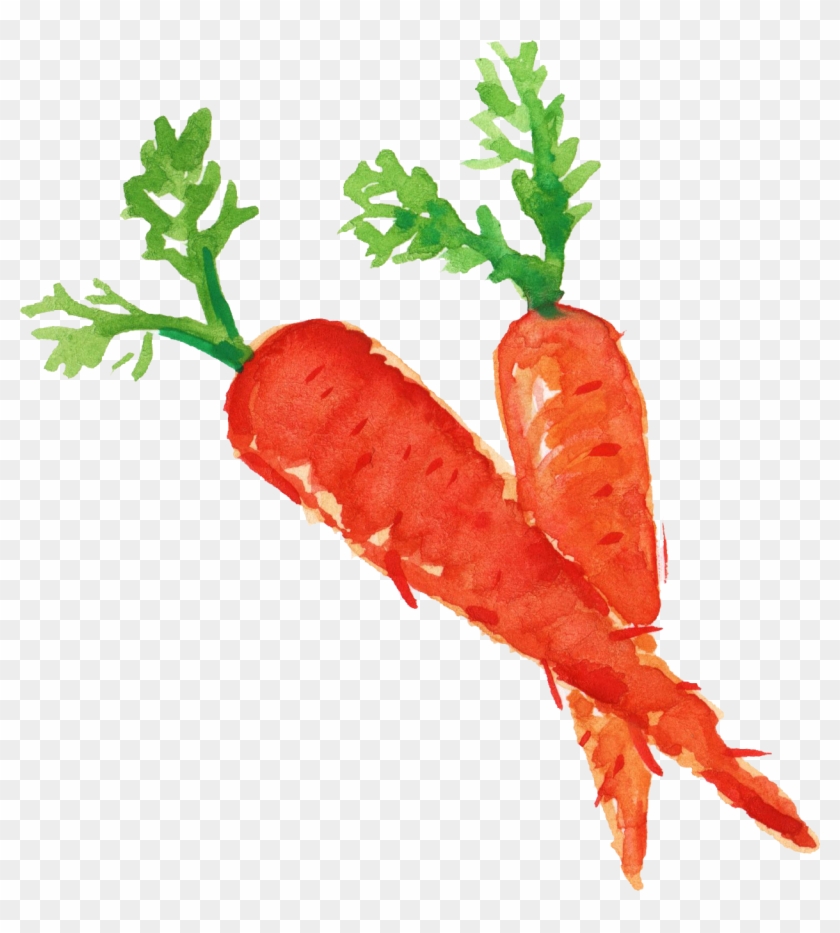Carrot Png Transparent Images Clipart
