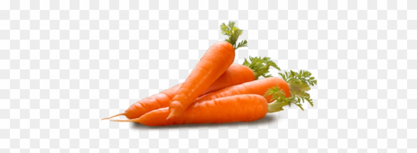 Havuç Png Resmi U2013 Carrot Png - Carrot Png Clipart #530835