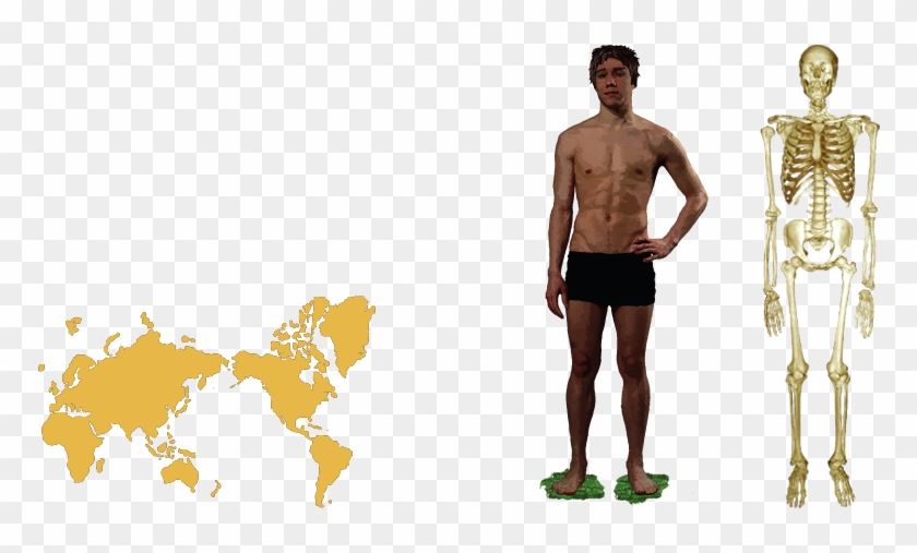 Human - Barechested Clipart