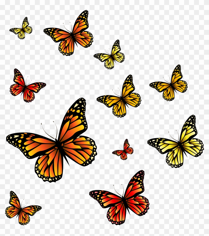 Butterflies Png Image - Png Butterfly Clipart #530958
