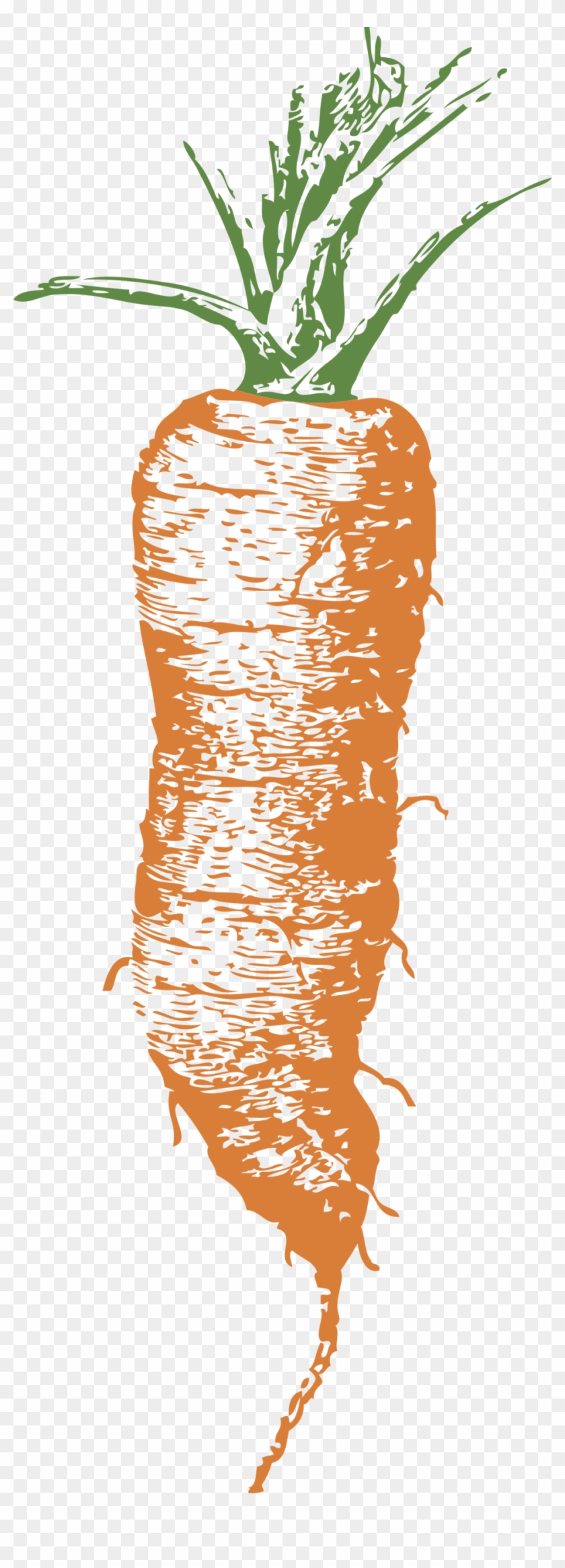 Carrot - Baby Carrot Poem Clipart