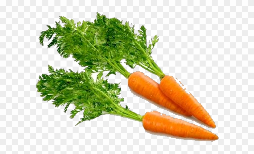 Carrot With No Background Clipart #531172