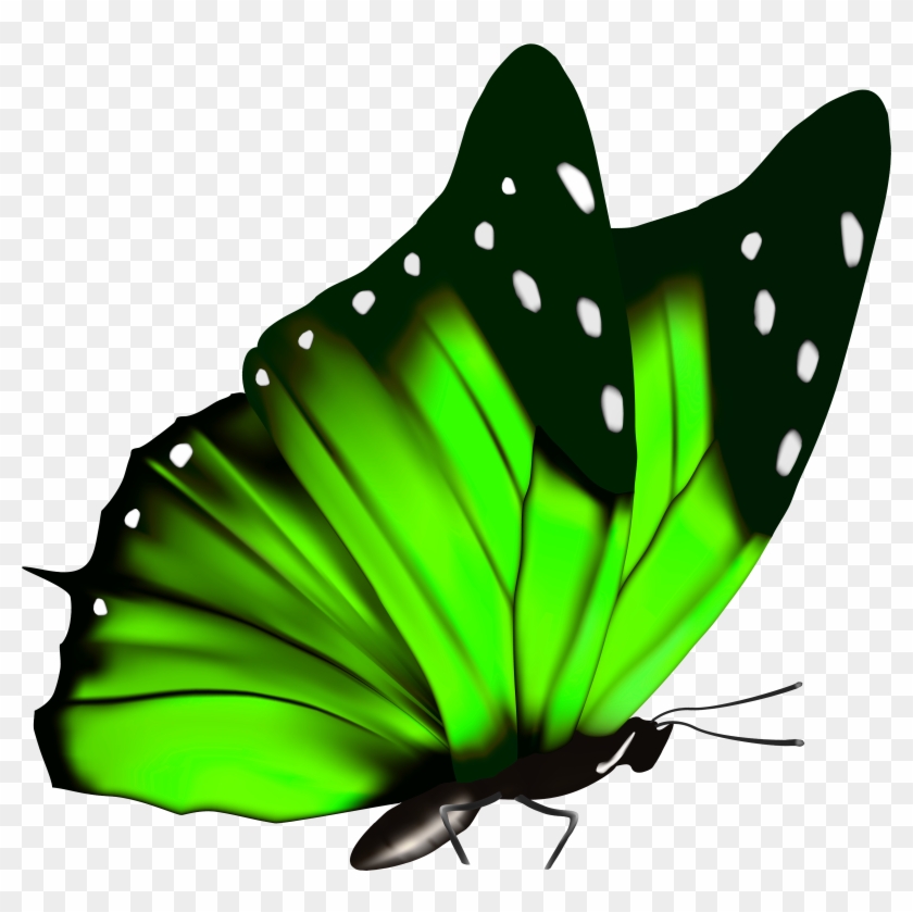 Green Butterfly Png Clipart Image - Green Butterfly Clipart Png Transparent Png #531459