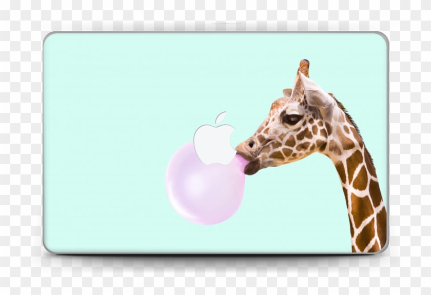 Poster Giraffe , Png Download - Fondos De Pantalla Laptop Clipart #531617
