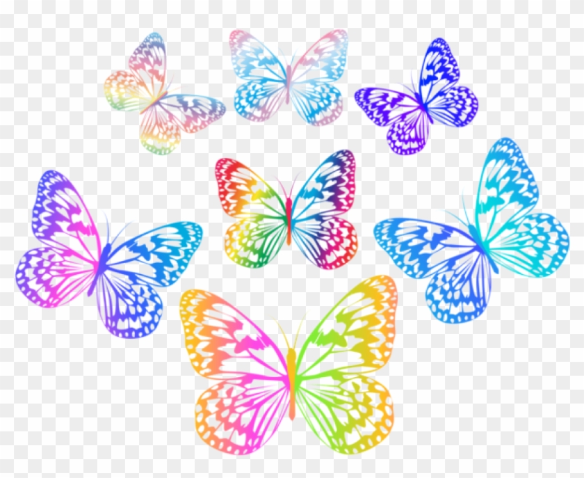 Free Png Download Decorative Multlored Butterflies - Multi Color Butterfly Png Clipart