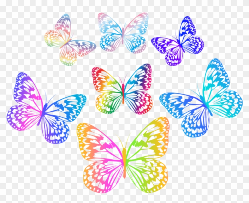 Free Png Download Decorative Multlored Butterflies - Multi Color Butterfly Png Clipart #531893