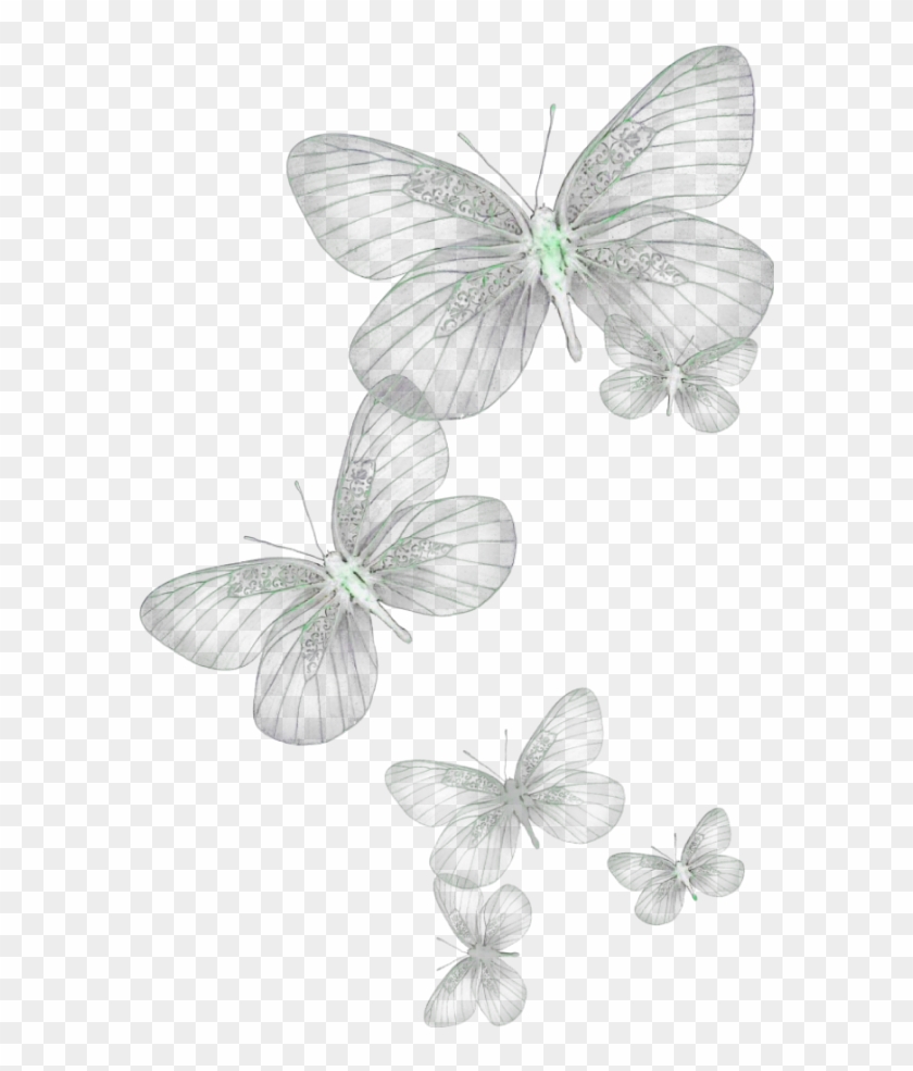 Ftestickers Butterflies Glow Green Clipart #531922