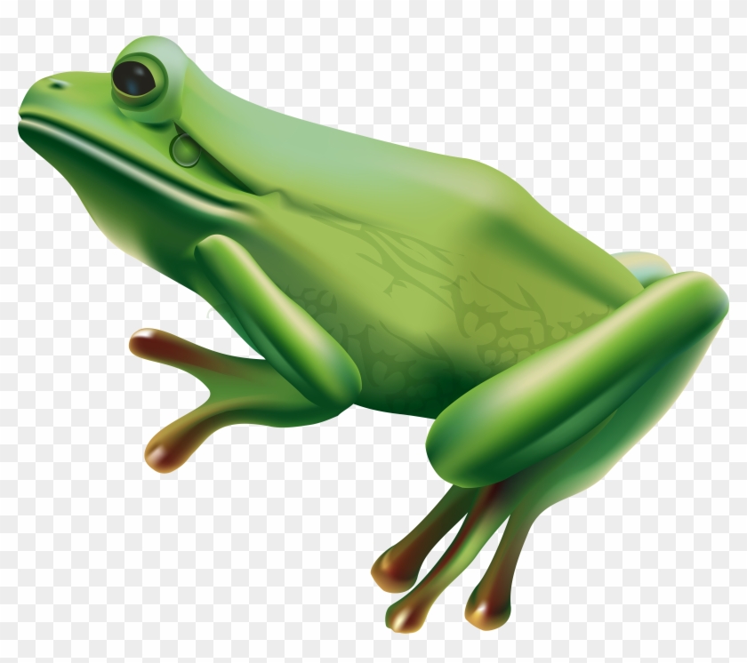 Frog Png Clipart #531991