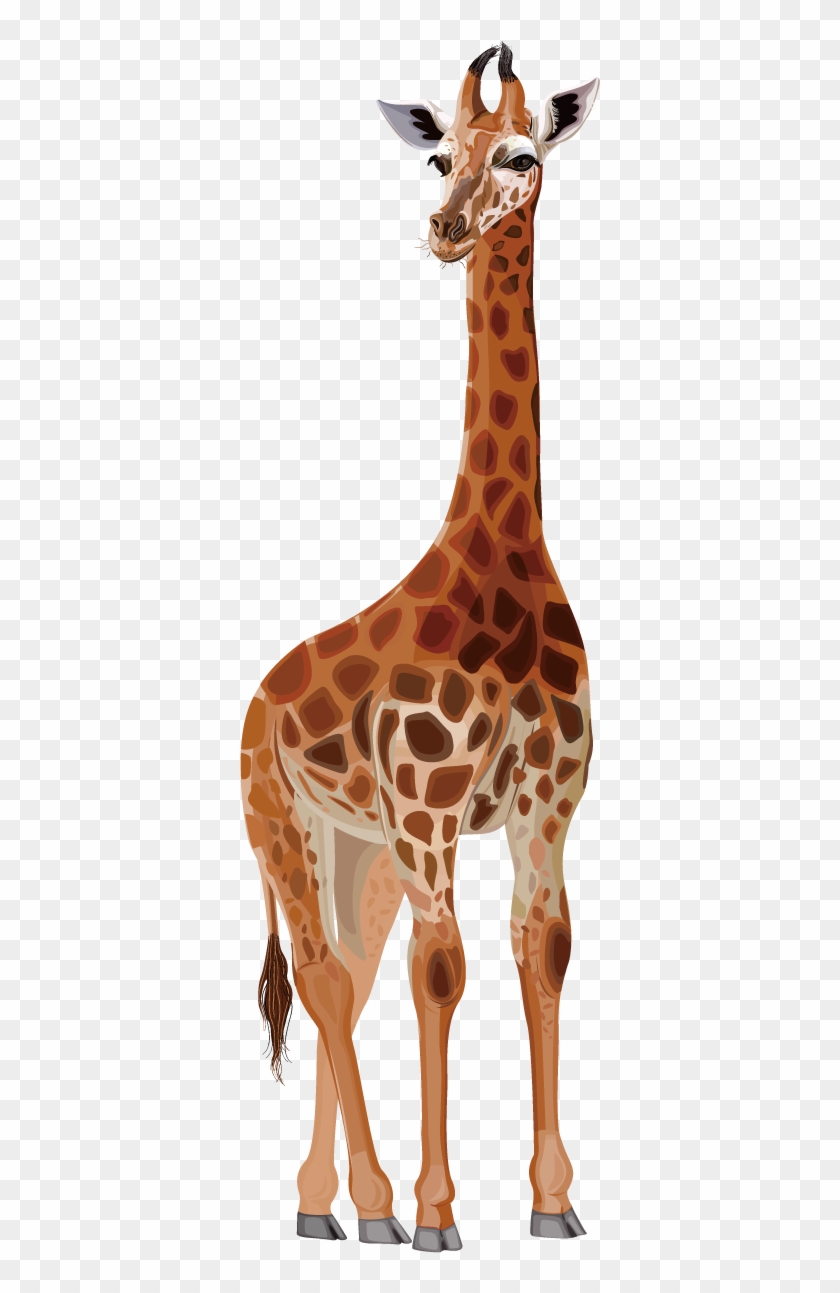 Collection Of Free Cartoons Download On Ubisafe - Northern Giraffe Drawing Clipart #532145