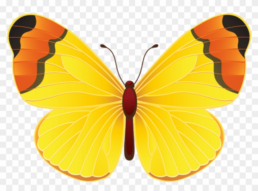 Download Yellow Butterfly Png Clipart Png Photo - Yellow Butterfly Clip Art Transparent Png