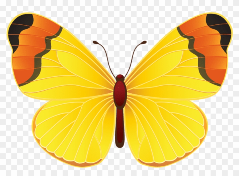 Download Yellow Butterfly Png Clipart Png Photo - Yellow Butterfly Clip Art Transparent Png