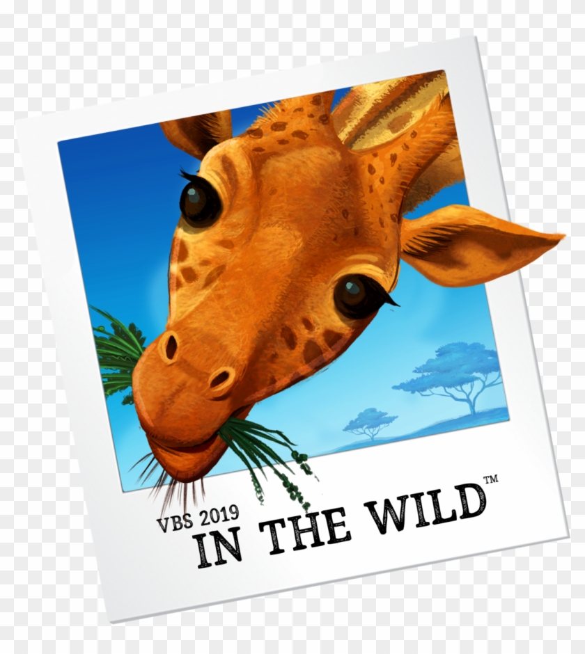 Giraffe - Vbs In The Wild Clipart #532322