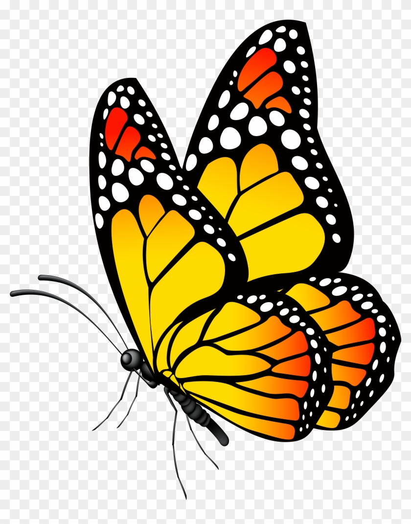 Clipart Butterfly Yellow - Png Download