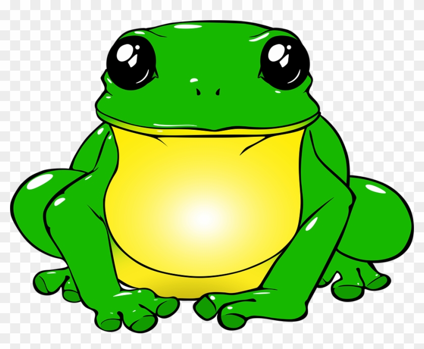 Frog, Toad, Green, Drawing, Png, Animals, Nature, Water - Sapo Unicornio Clipart #532683
