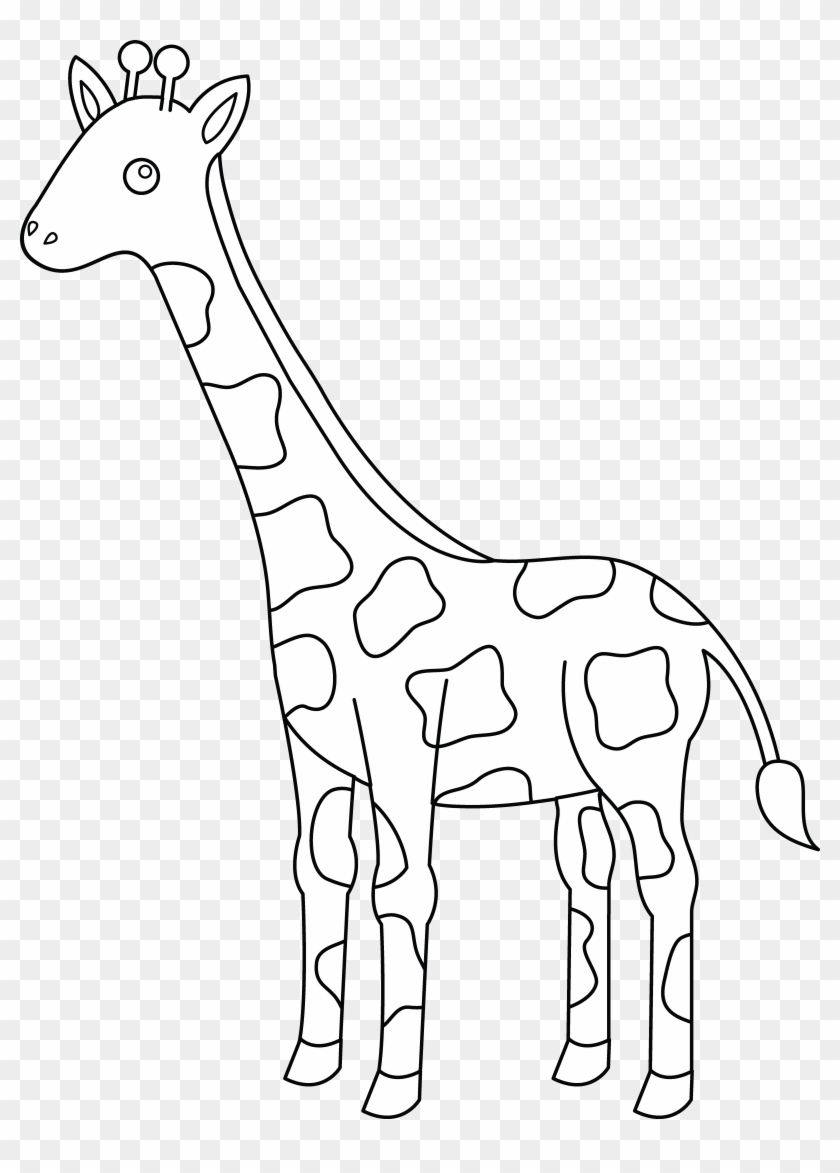 5774 X 7792 4 - Giraffe Black And White Clipart Png Transparent Png #532687